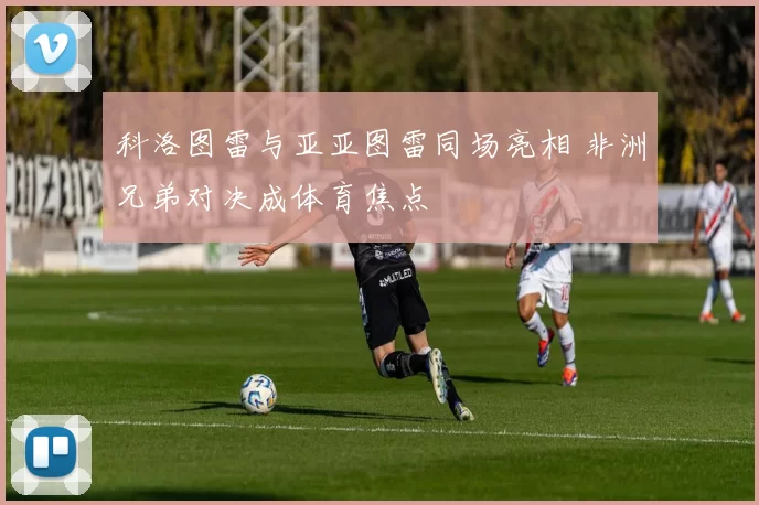 科洛图雷与亚亚图雷同场亮相 非洲兄弟对决成体育焦点