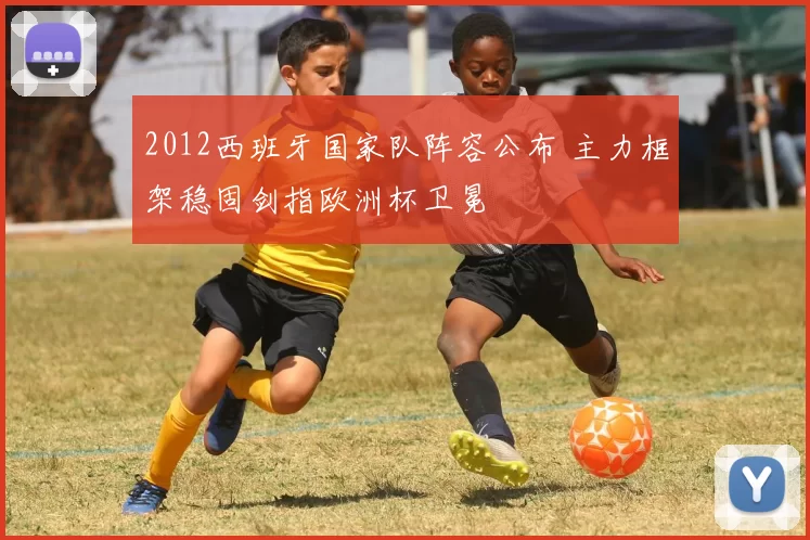 2012西班牙国家队阵容公布 主力框架稳固剑指欧洲杯卫冕