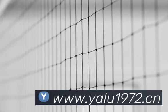 开云(中国)Kaiyun·官方网站 - 登录入口 - 开云官网品牌故事